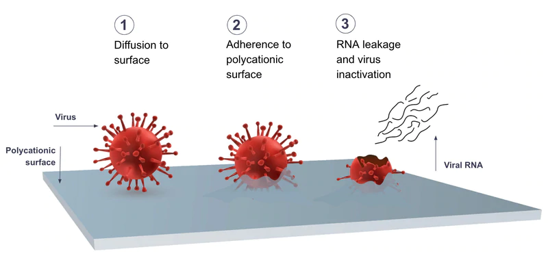 Showing how Livinguard technology works by illustrating the diffusion to surface, adherence to a polycationic surface, and RNA leakage and virus inactivation.